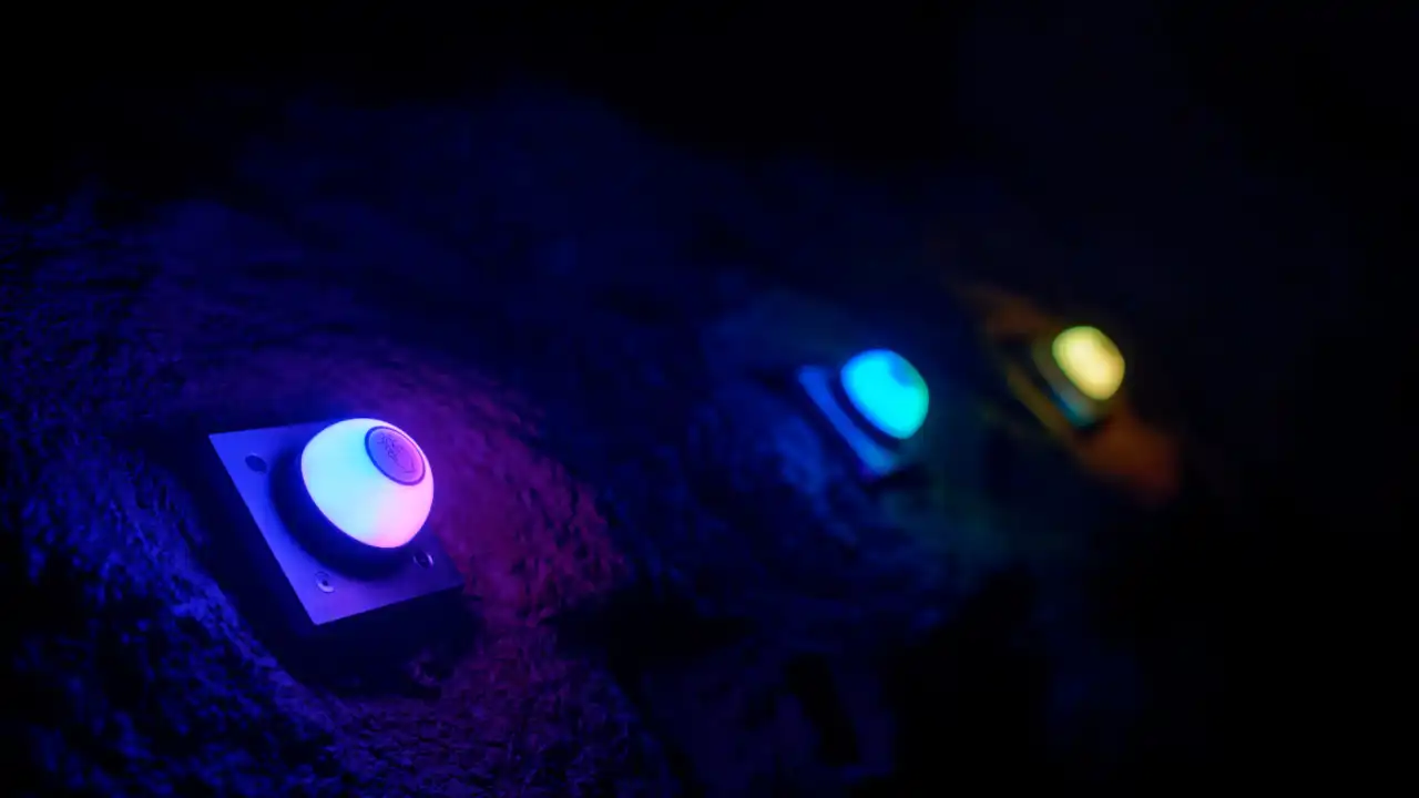 Virtual Aquarium Gallery 4